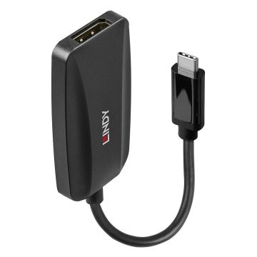 Convertisseur USB Type C vers DisplayPort 1.4