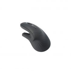 Souris ergonomique WE, 2-en-1 connexion BT + 2.4GHz,  5 boutons et 1 molette DPI 800-1200-1600 noire, 1 pile AA inclus