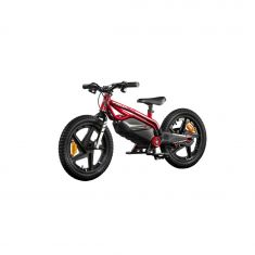 Mini moto elec DUCATI enfant / moteur 250W Pneu 16'' / 16kmh max 15.5kg Batt 21.6V/5.2Ah 112W Ecran Clignotant Charge max 45kg  Frein Tambour